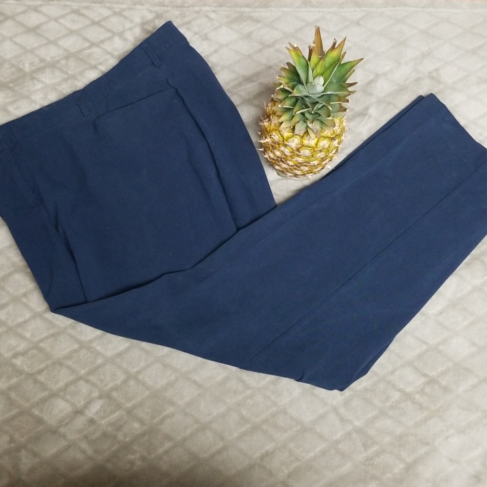 Lane Bryant Dress Pants